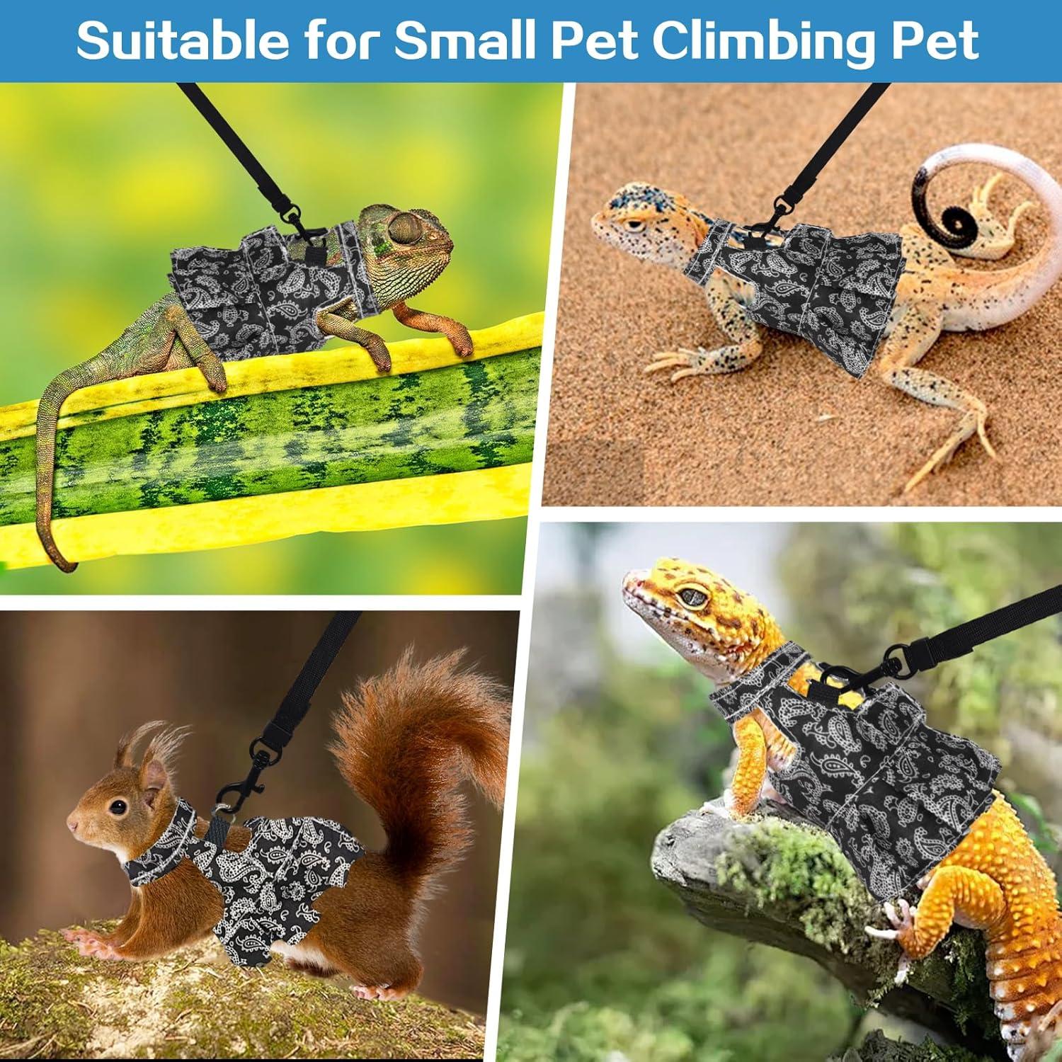 Conjunto Arnés y Correa Ajustable Fnaobai para Reptiles