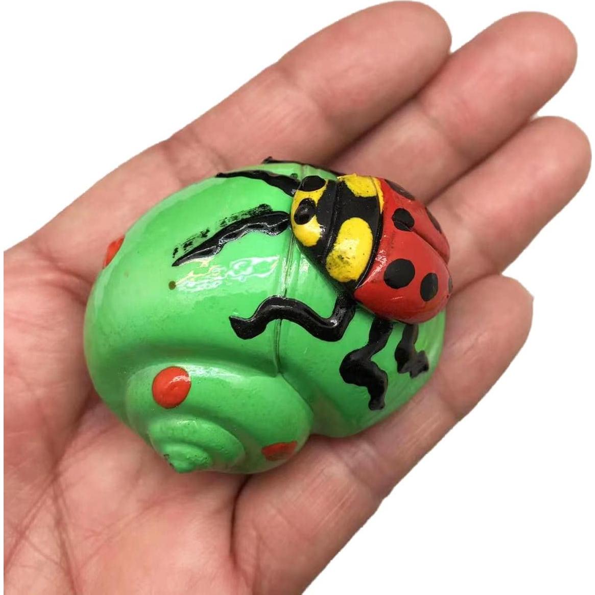 Conchas de Cangrejo Ermitaño Pintadas 8PC 5cm Decoración