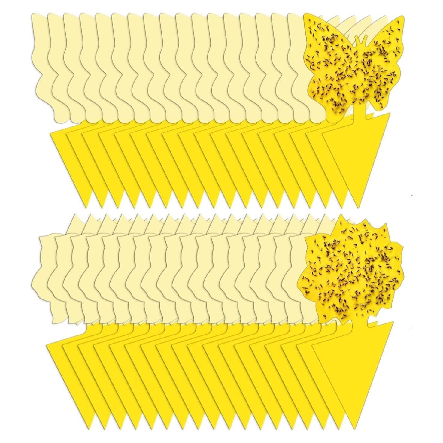 Paquete de 36 trampas adhesivas para moscas de la fruta Stingmon