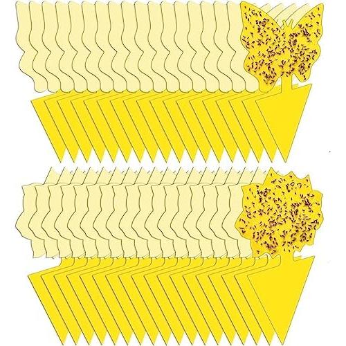 Paquete de 36 trampas adhesivas para moscas de la fruta Stingmon