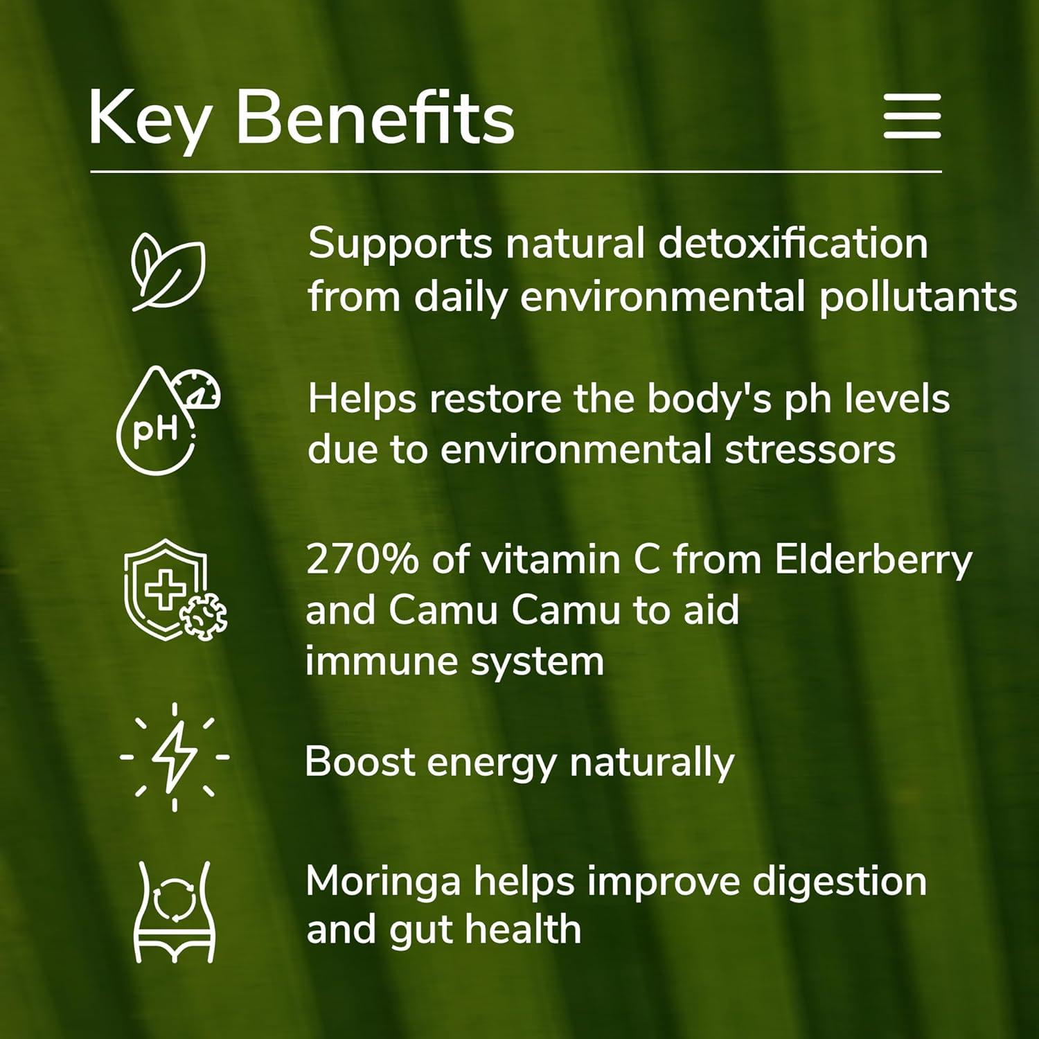 Polvo de Superalimento Verde Orgánico fitppl 240g - Salud Digestiva