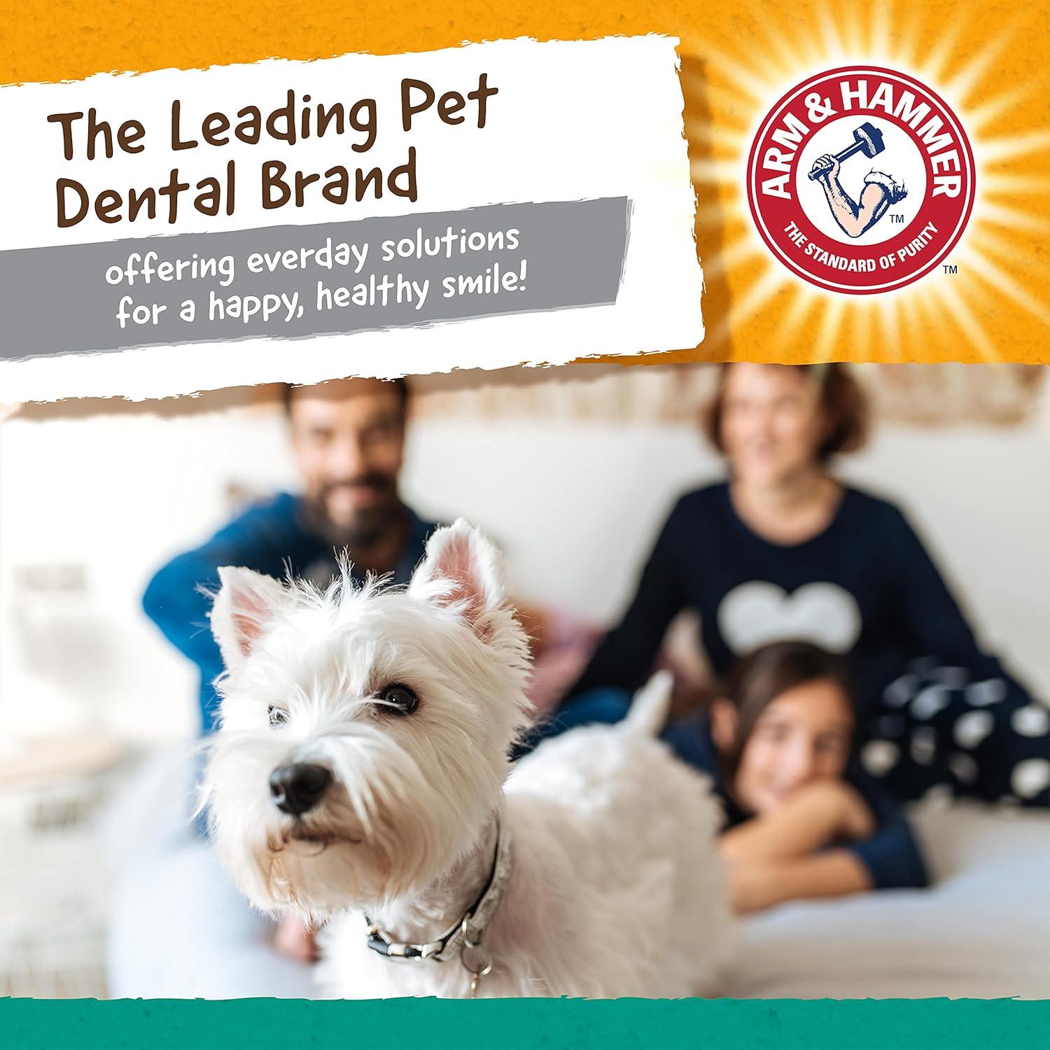 Juguete Dental para Perros Arm & Hammer Mantequilla de Maní