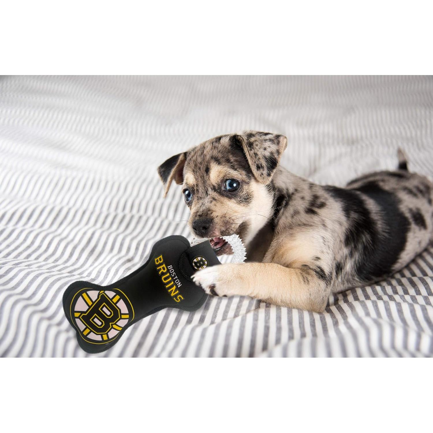 Juguete Dental para Perros Pets First NHL Boston Bruins