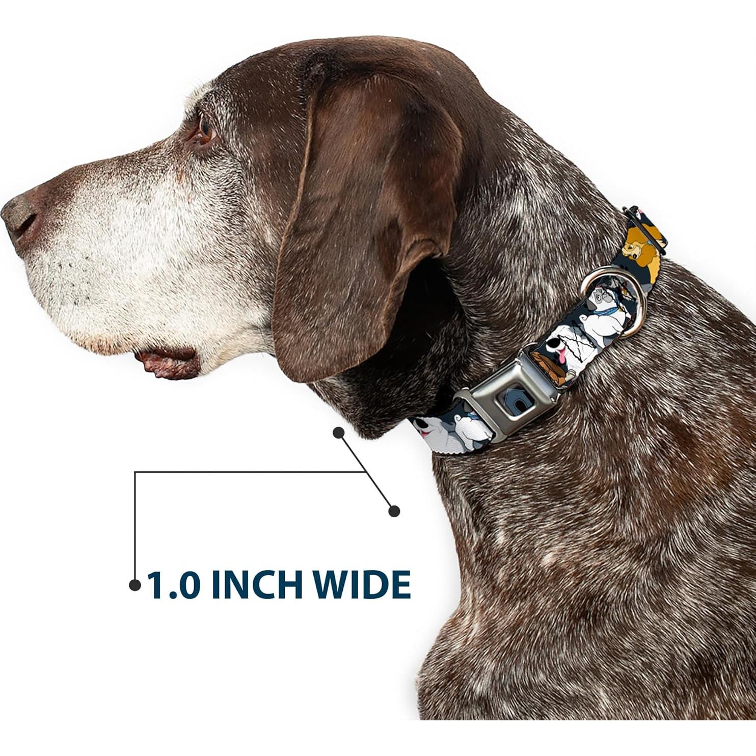 Collar de Perro Buckle-Down Disney Patas Gris 24-33 cm 2.54 cm Ancho