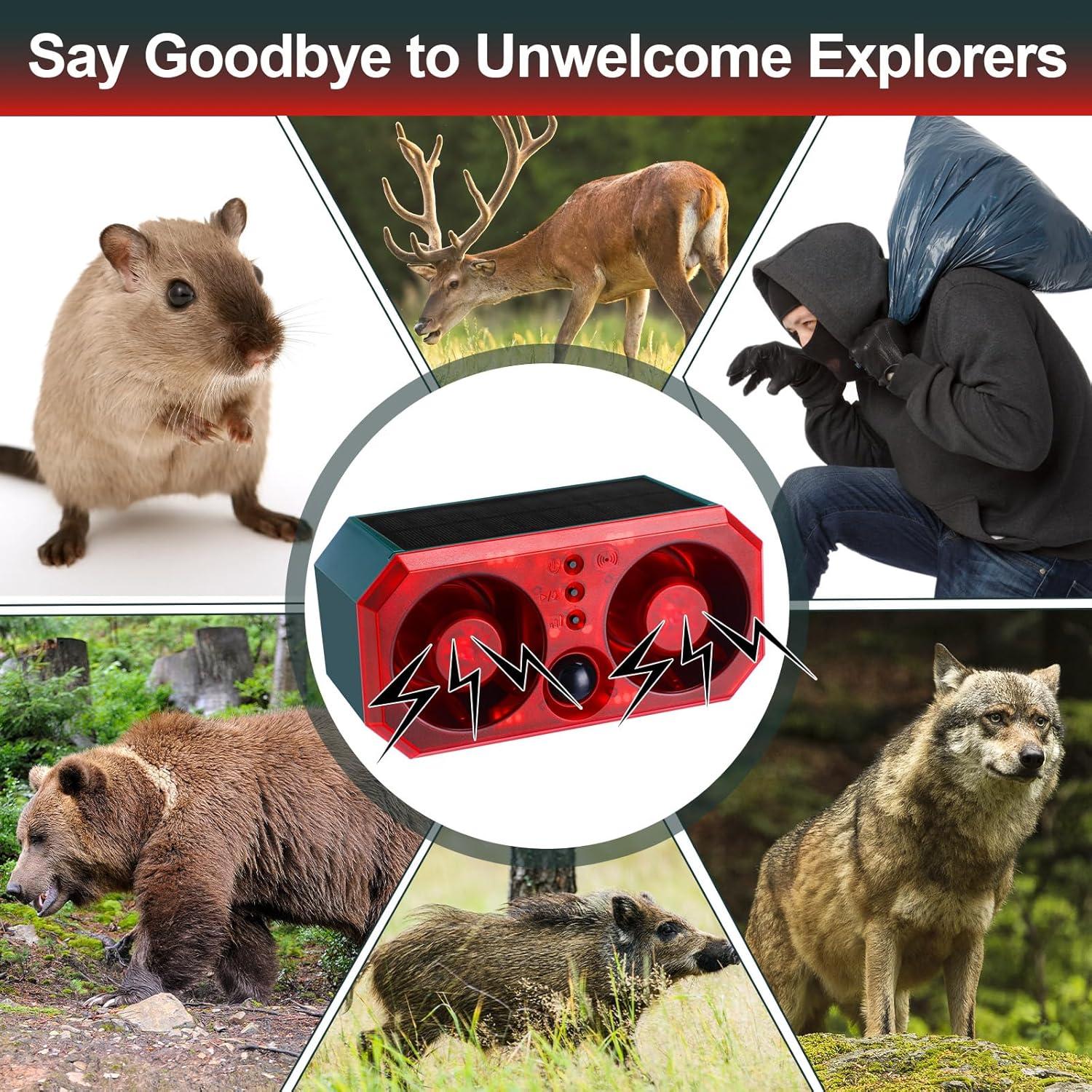 Alarma de Movimiento Solar Qualirey 2 Pcs con Control Remoto