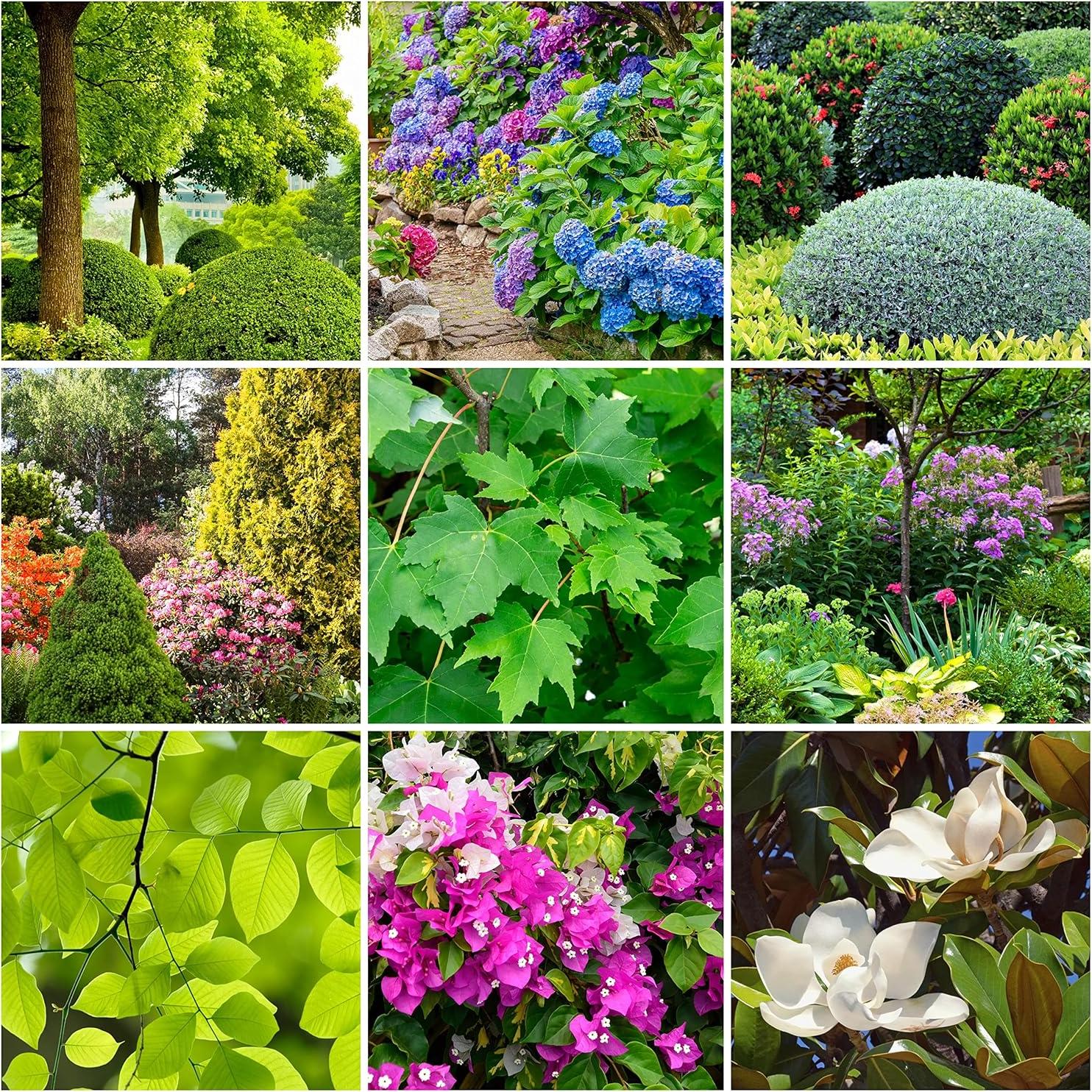 Picos de Fertilizante SimplyGro para Árboles y Arbustos - 12 Picos