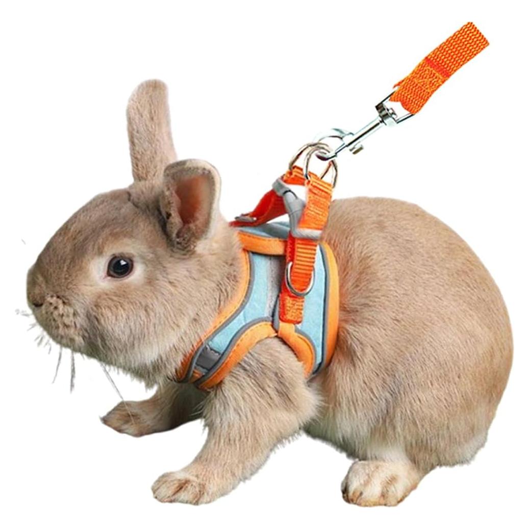 Conjunto Arnés y Correa Anelekor para Mascotas Pequeñas Naranja