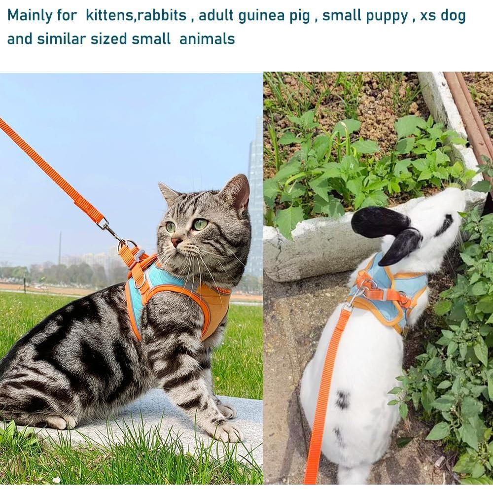Conjunto Arnés y Correa Anelekor para Mascotas Pequeñas Naranja