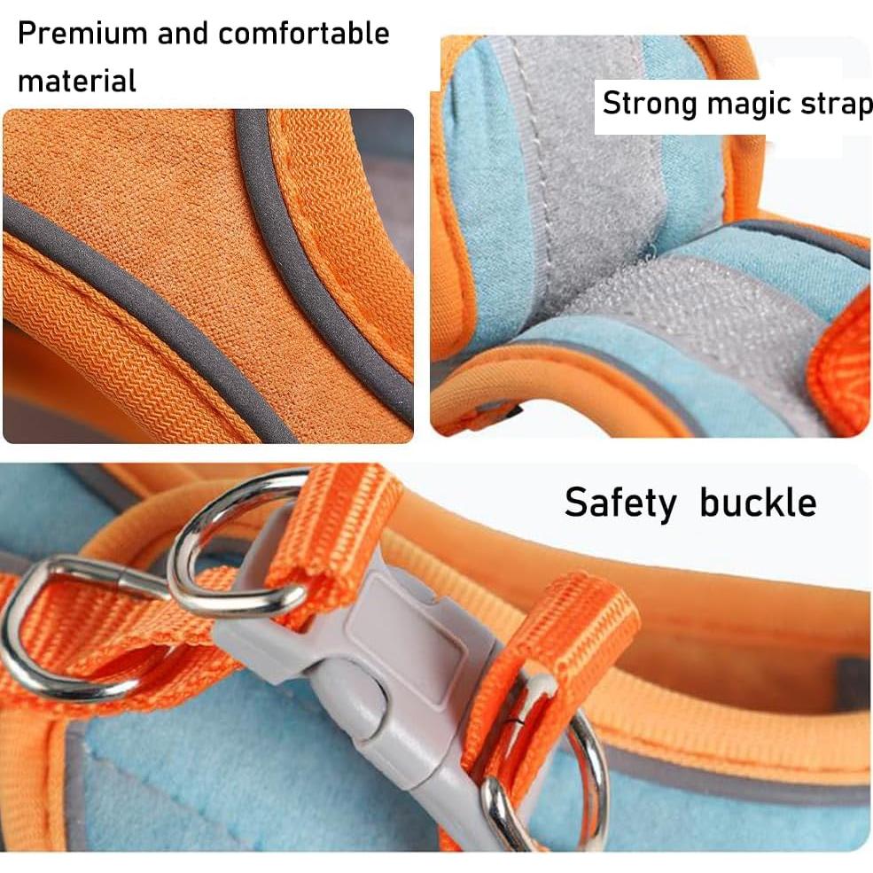 Conjunto Arnés y Correa Anelekor para Mascotas Pequeñas Naranja