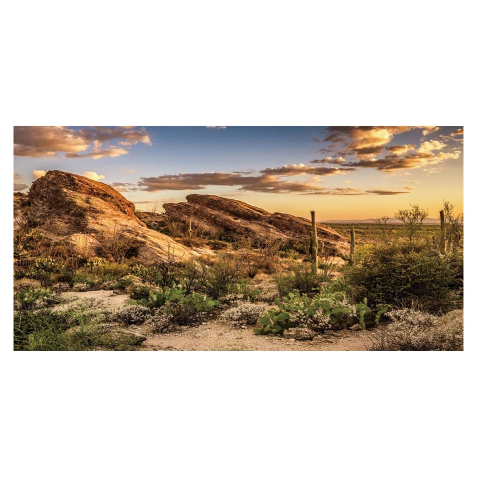 Fondo de Terrario AWERT Cielo Azul Oasis 60x30 cm