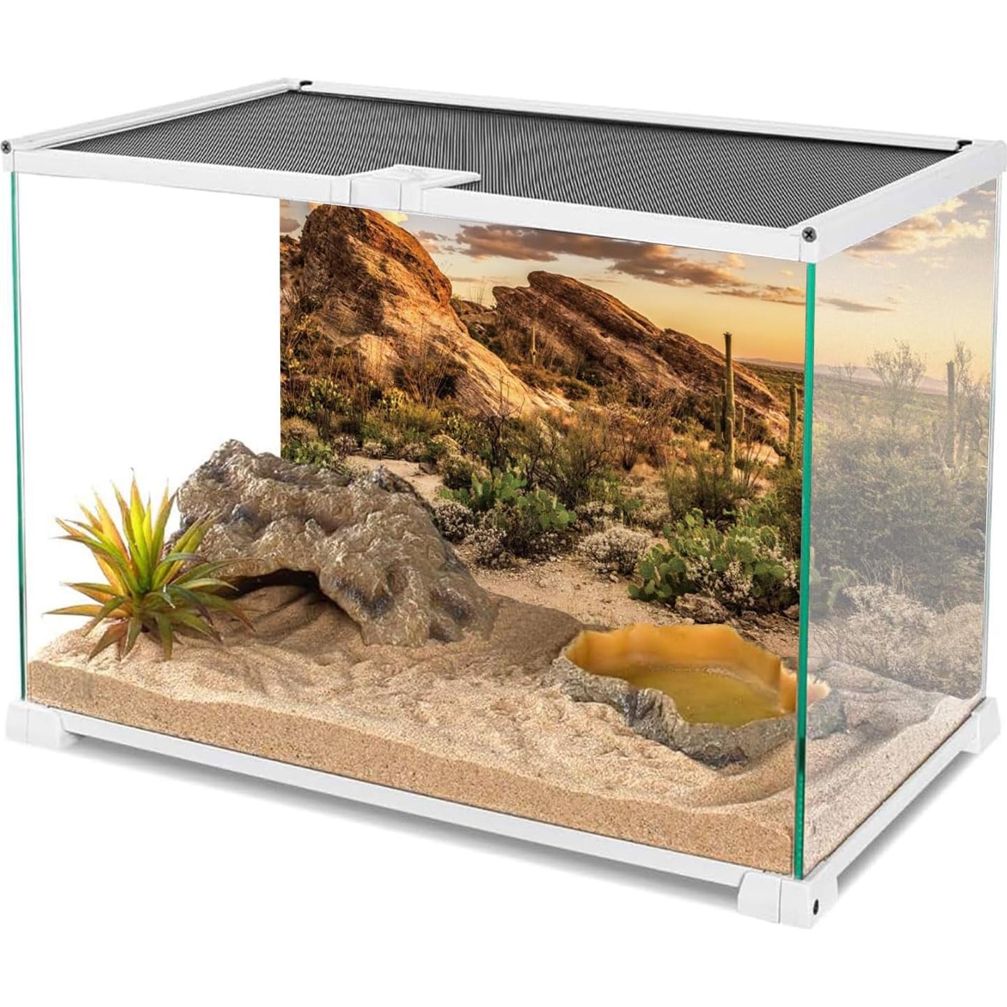 Fondo de Terrario AWERT Cielo Azul Oasis 60x30 cm