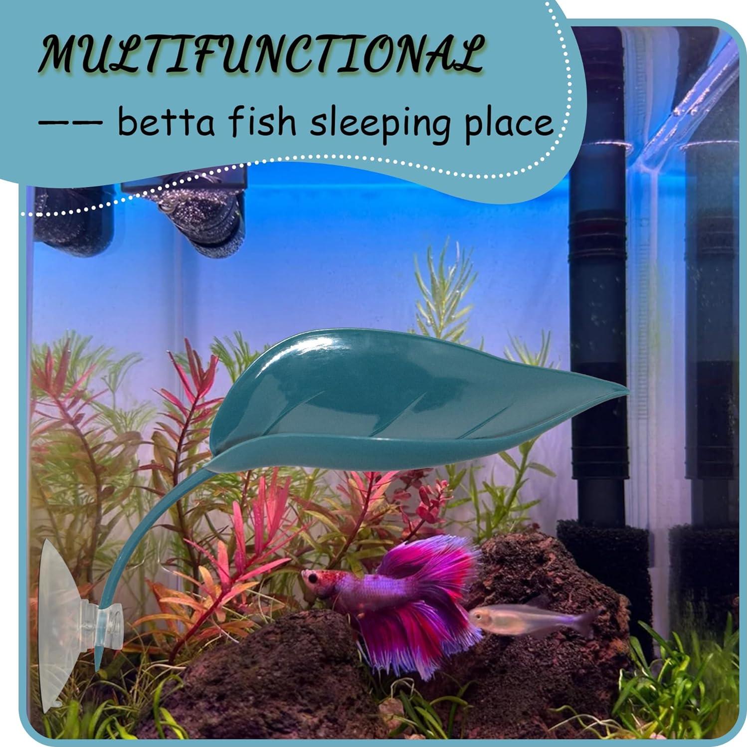 Plataforma de Sol para Tortugas JJMOLLE - 3PCS Azul Oscuro