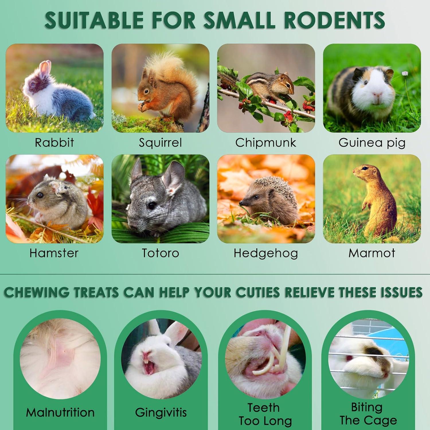 Golosinas Masticables KATUMO para Conejos y Roedores 150g