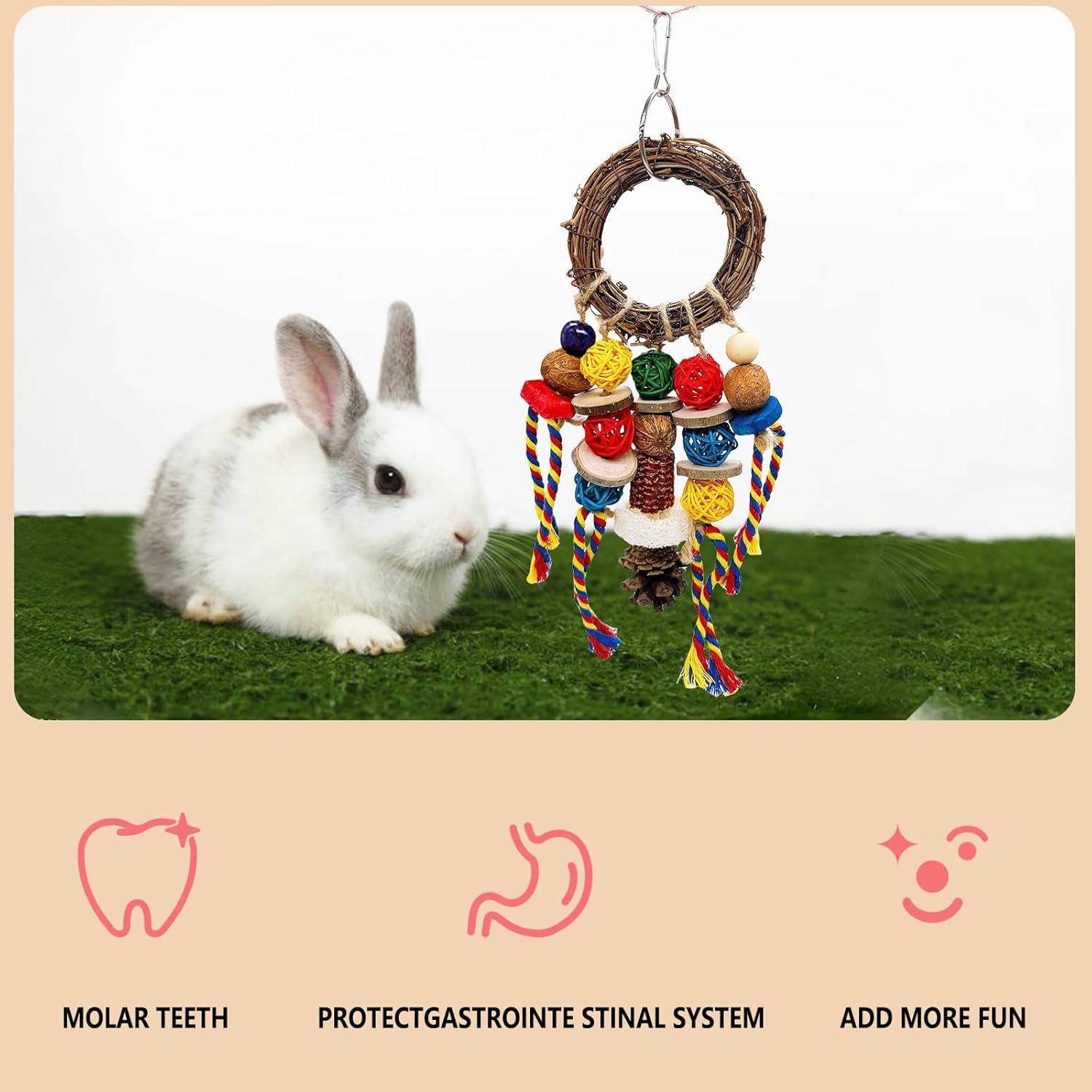 Juguetes Masticables Naturales Acsist para Conejos y Roedores - 2PCS