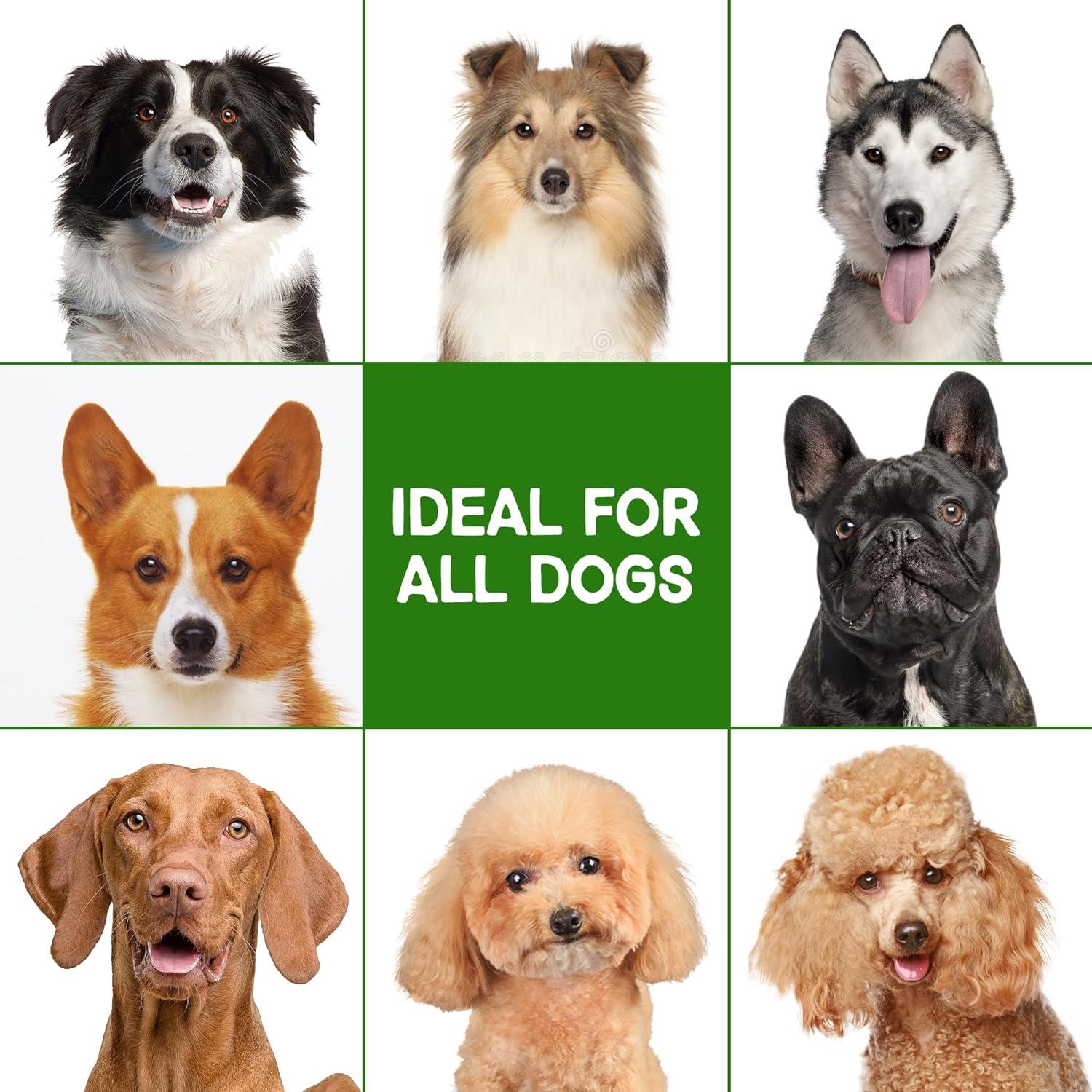 Champú Natural para Perros YUKOB 16 oz - Alergias y Picazón