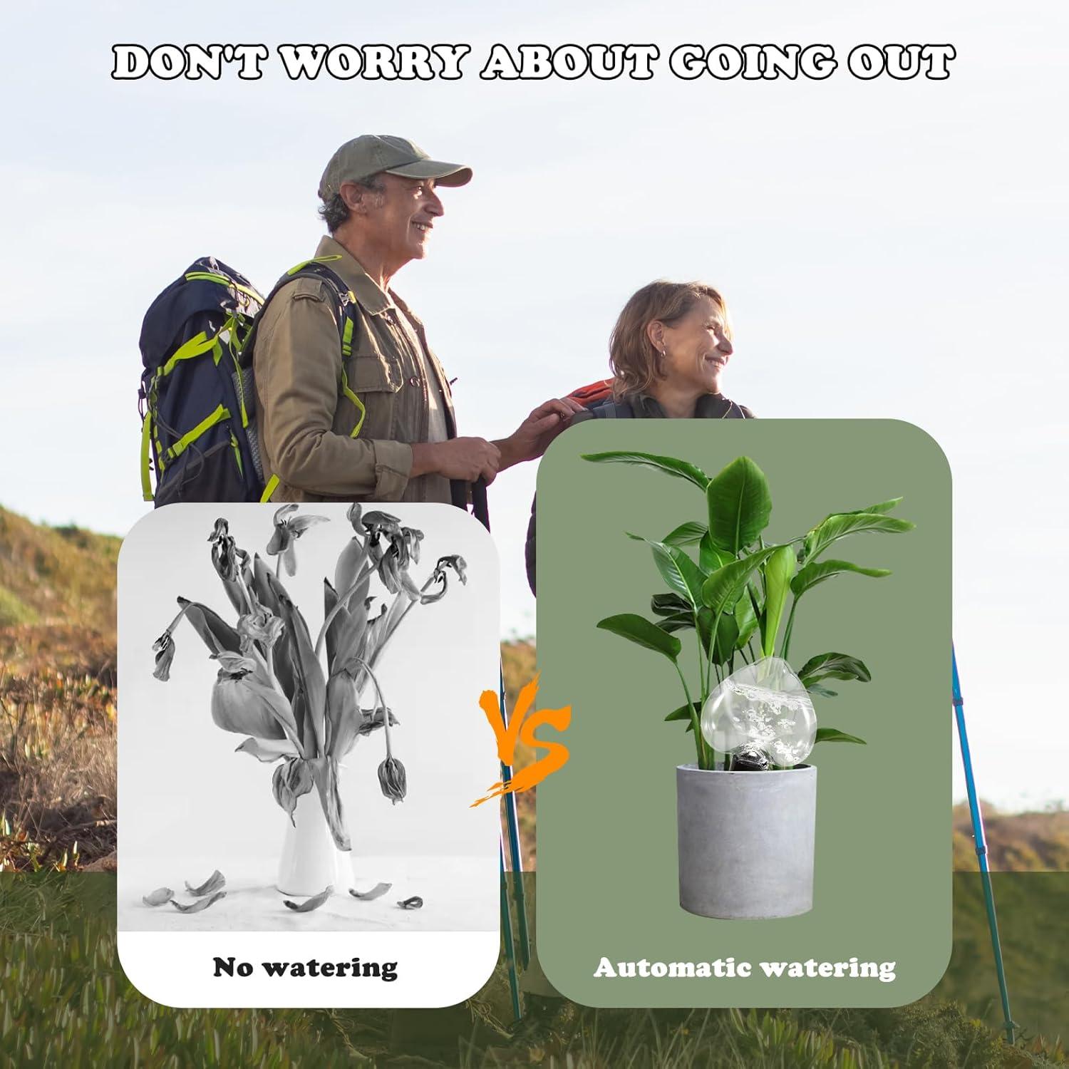 Esferas de Riego Automático Ansberta Corazón 4 Unidades 200ml