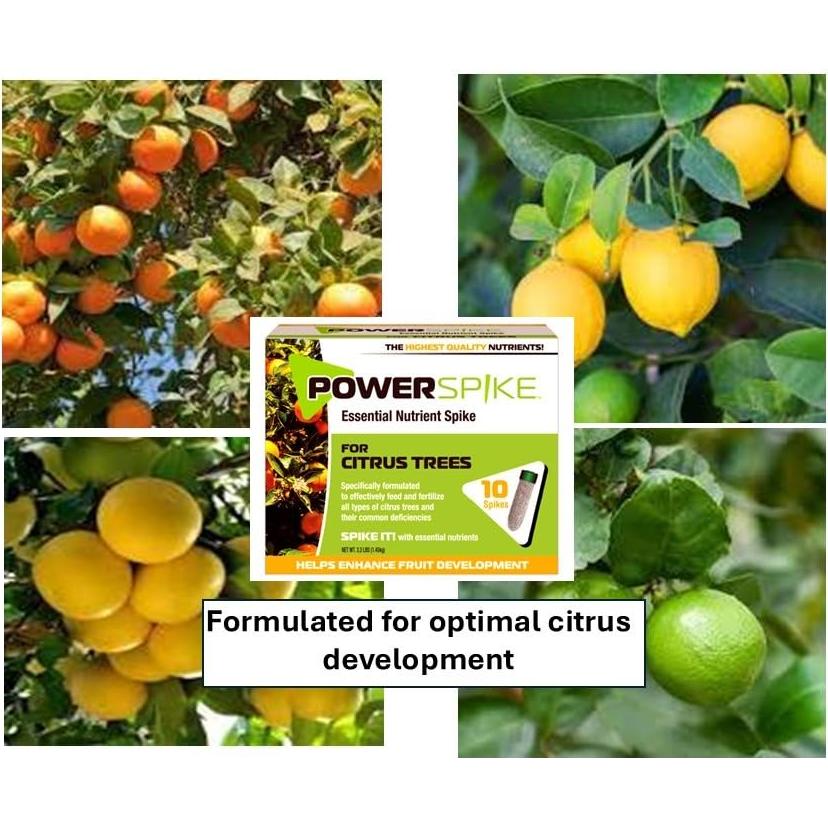 Espiga Power para Árboles Cítricos JVH 93307 - Fertilizante Efectivo