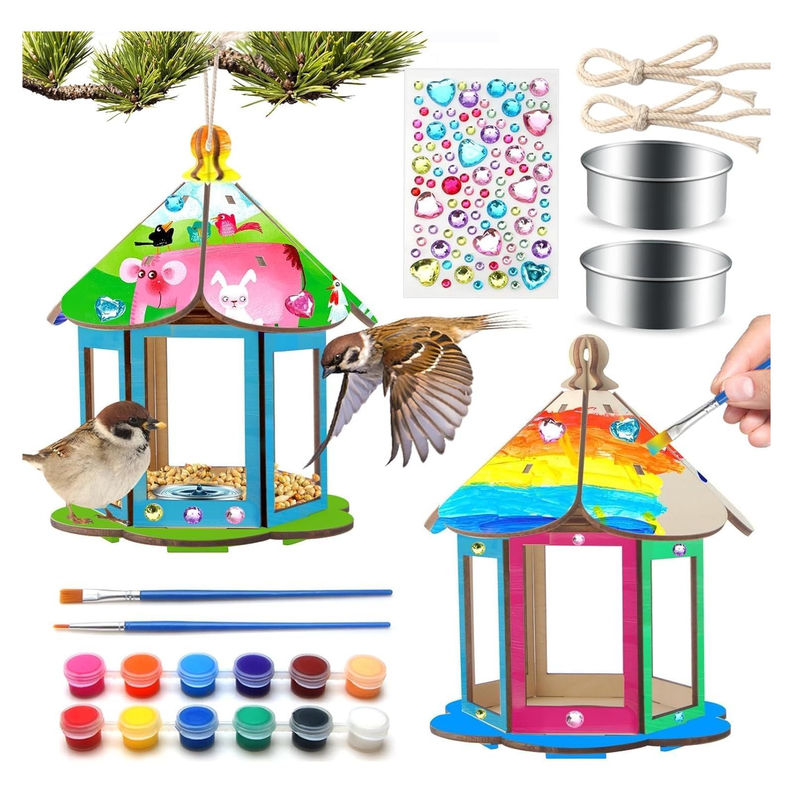 Kit de Manualidades Col-Pary para Comedero de Aves DIY - 2 Piezas