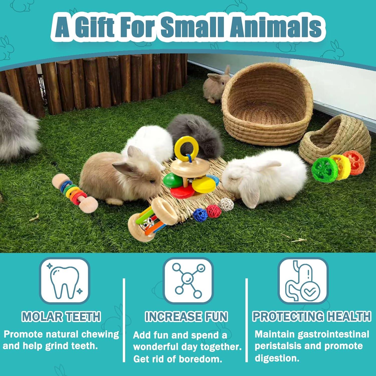 Juguetes de Madera para Conejos QWR 9PCS - Seguro y Colorido