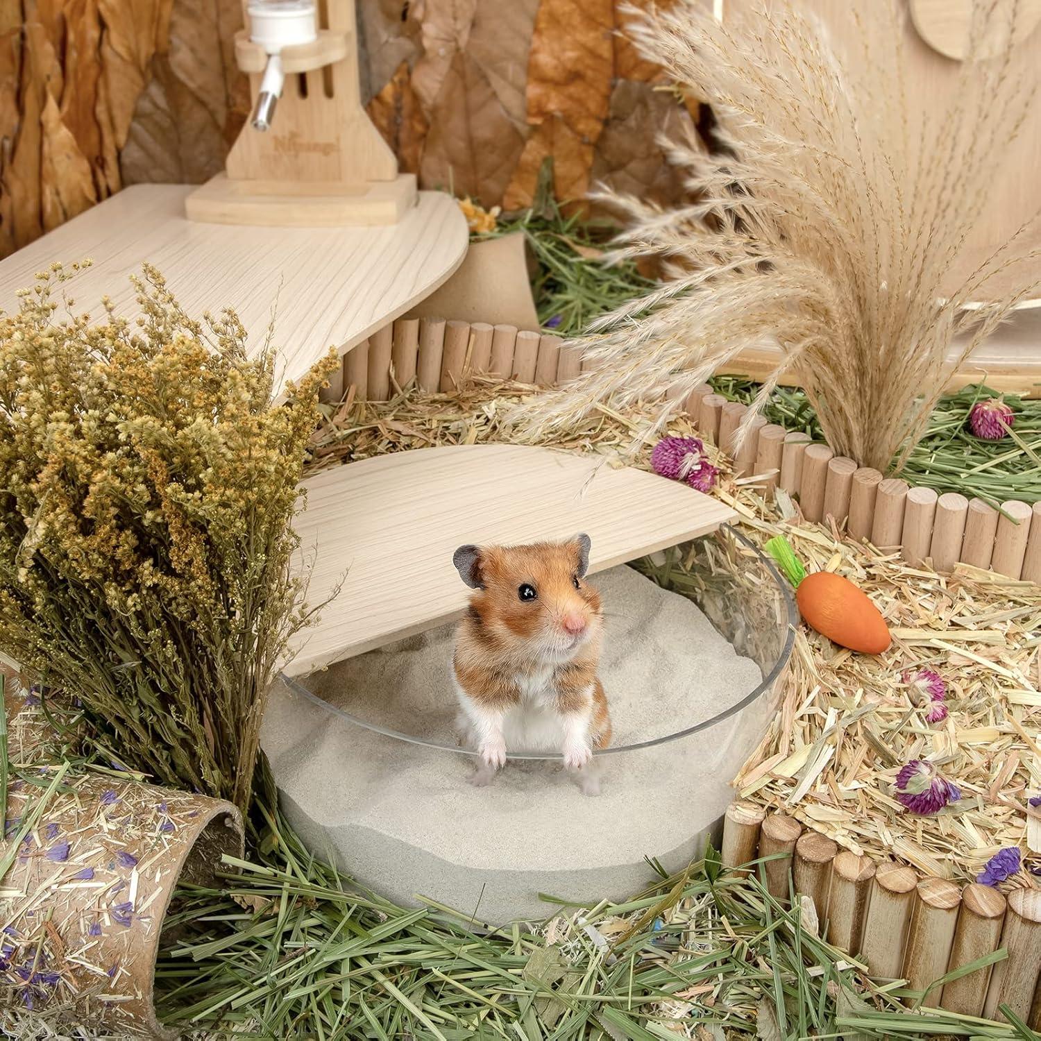 Baño de Arena para Hámster Niteangel 1.4L Azul - Suave y Efectivo