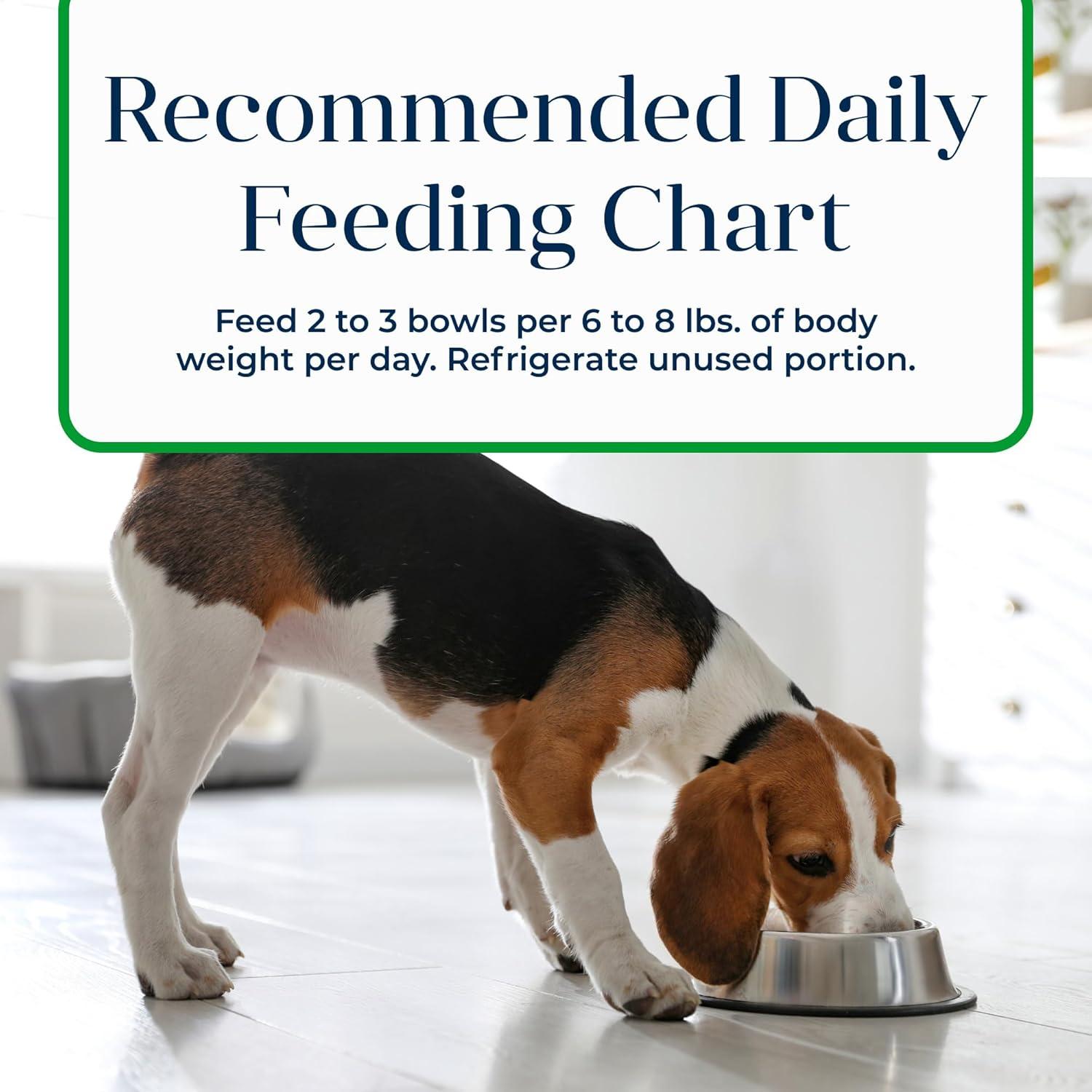 Comida Húmeda para Perros Adultos Blue Buffalo 12 Tazas Cordero