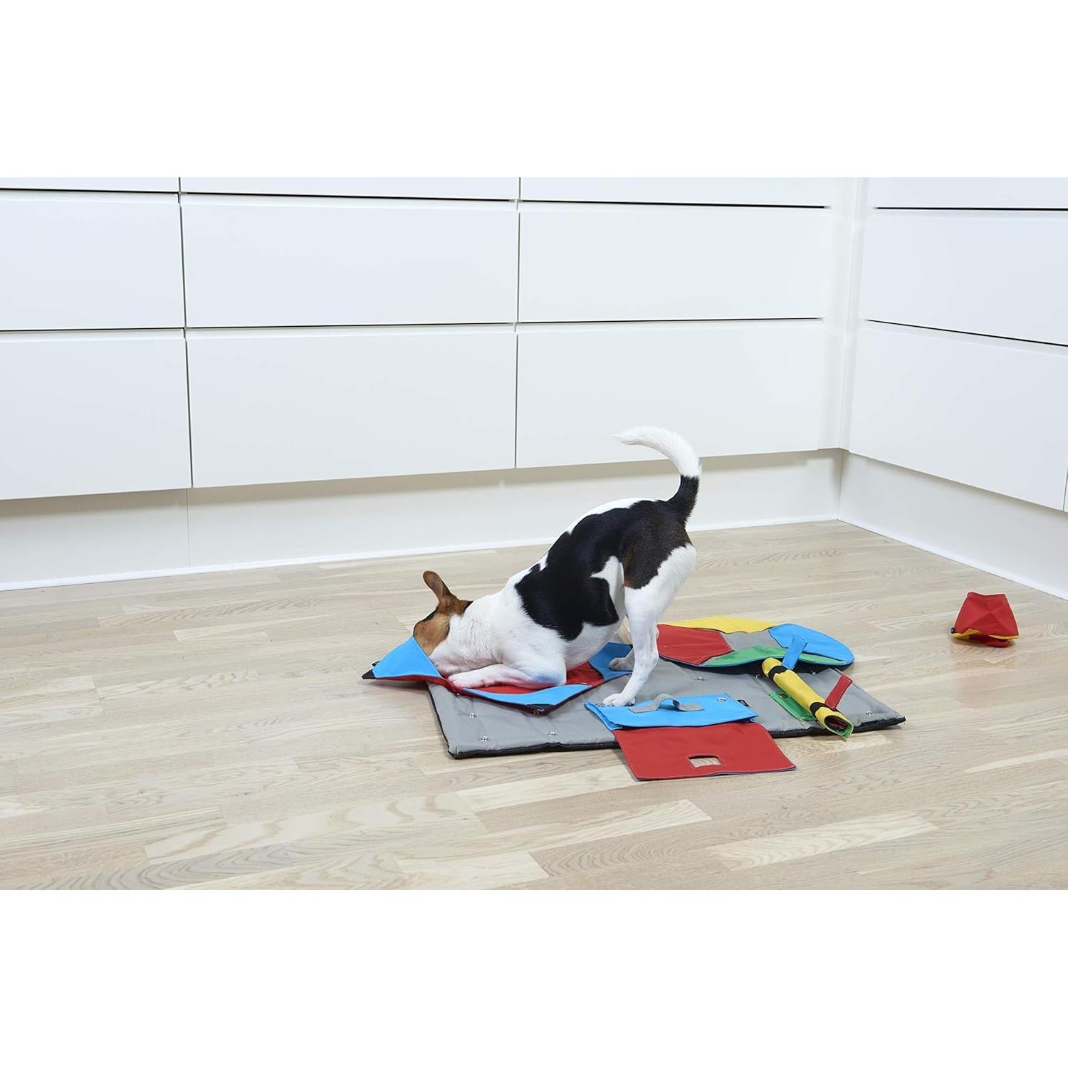 Kruuse Monedero con Tarea de Bolsillo para Alfombra BUSTER