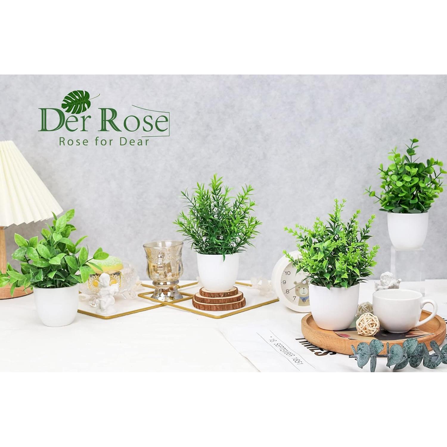 Plantas Falsas Der Rose en Macetas - Paquete de 4 Mini Plantas