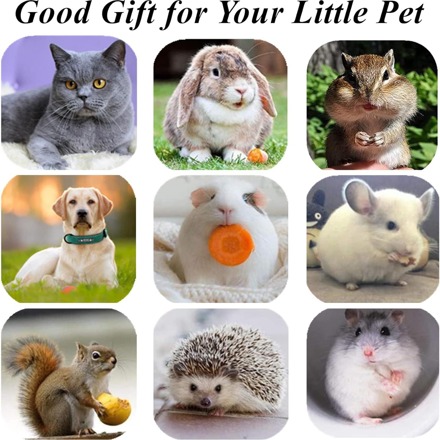 Kit de Juguetes para Gatos GREMBEB - 3 Paquetes Interactivos