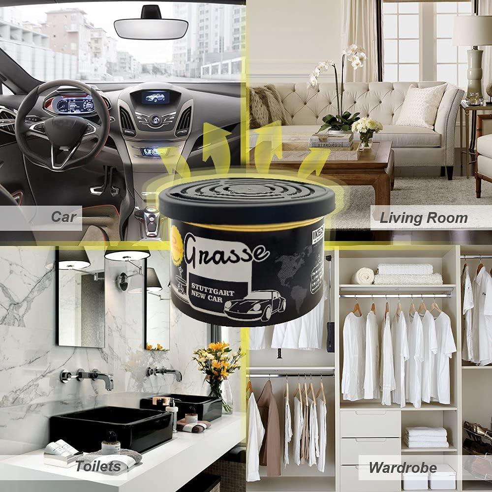 Ambientador de Auto Ikeda Scents - 12 Aromas Naturales 42.5g