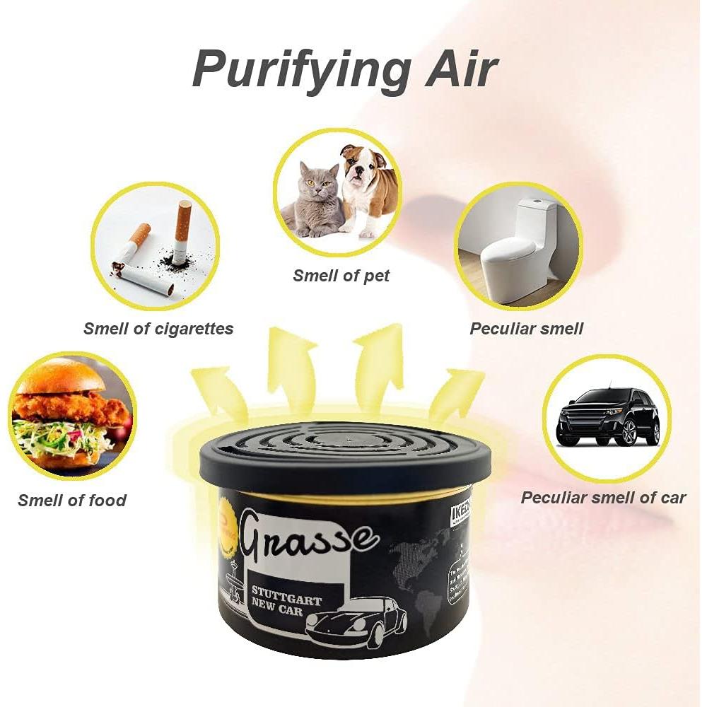 Ambientador de Auto Ikeda Scents - 12 Aromas Naturales 42.5g