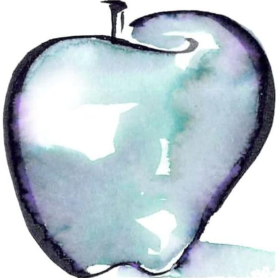 Conjunto de 6 Marcadores de Caligrafía Speedball Elegant Writer