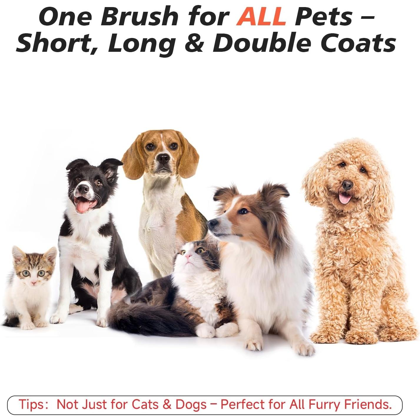 Cepillo Deshedding Autolimpiante CHENJIU para Perros y Gatos Rosa