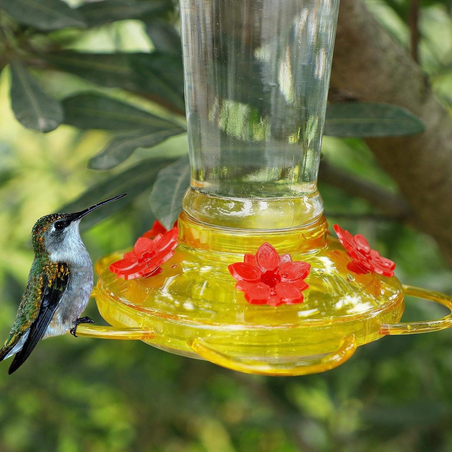 Alimentador de Colibríes Shrdaepe de Vidrio 0.28L 5 Puertos Rojo