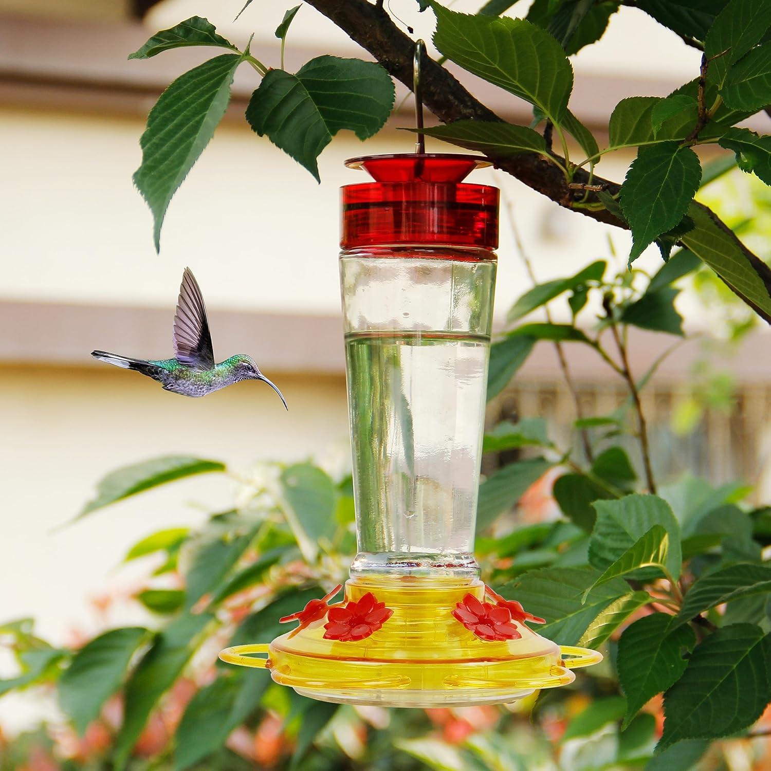 Alimentador de Colibríes Shrdaepe de Vidrio 0.28L 5 Puertos Rojo