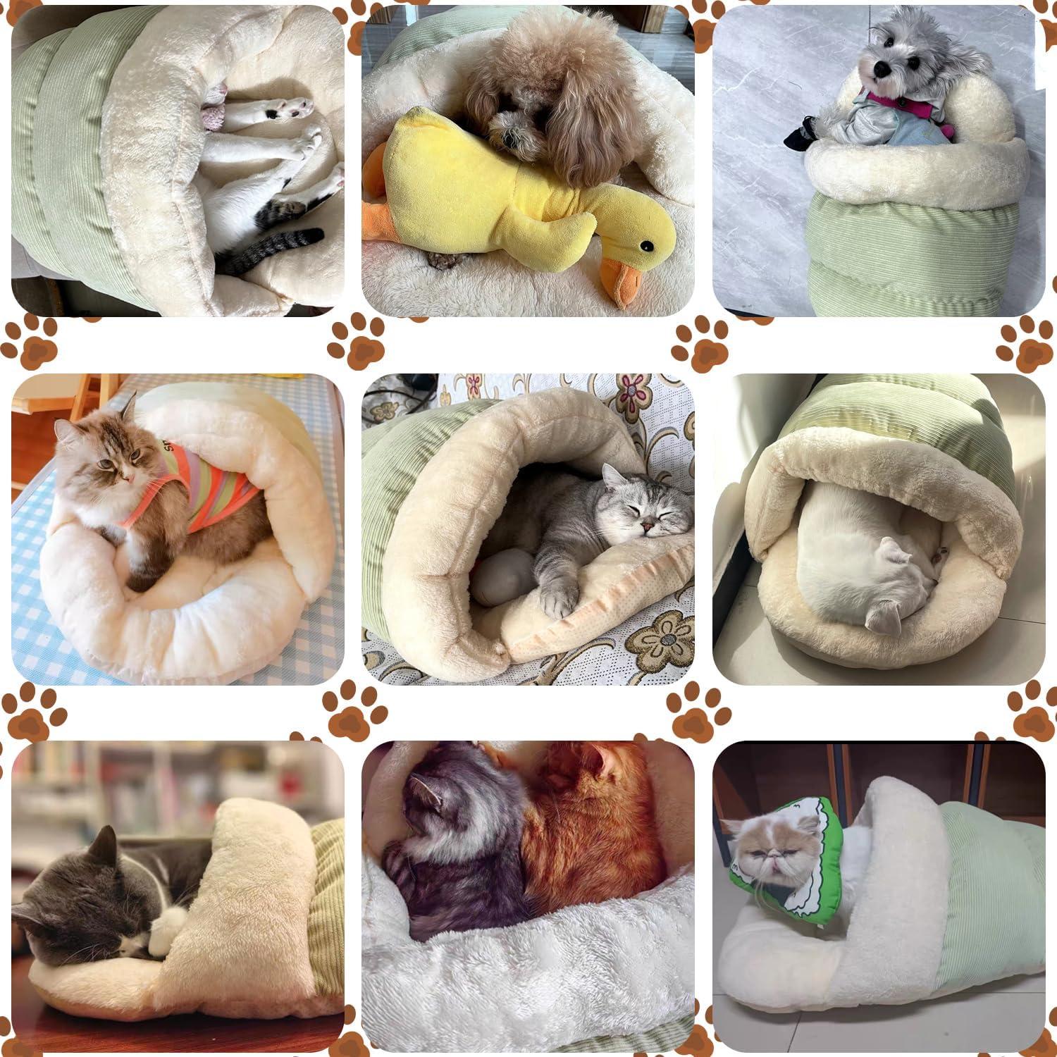 Cama para Gatos Romaneco Mediana Verde 61x41cm Suave y Lavable