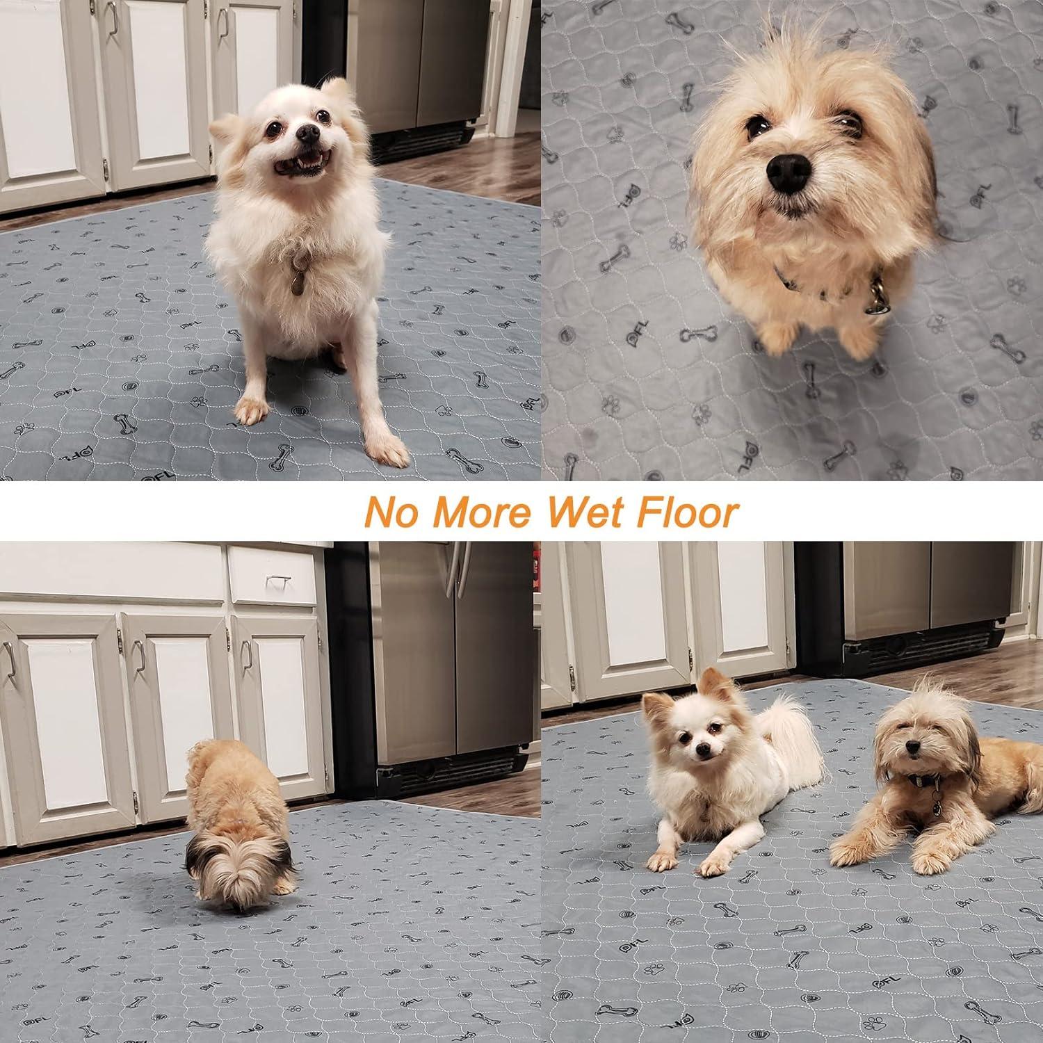 Alfombrillas Lavables para Perros PICK FOR LIFE 40.6x61cm - Paquete de 6