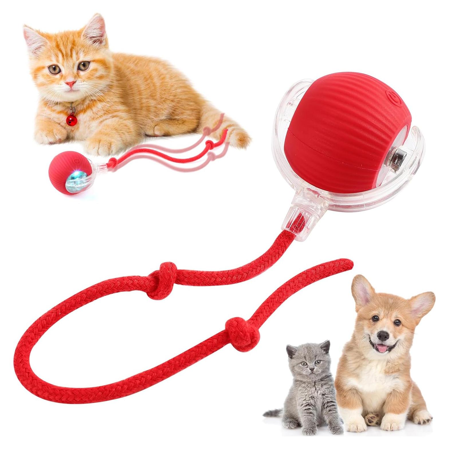 Bola Rodante Interactiva para Gatos y Perros Wesazo GDQ01