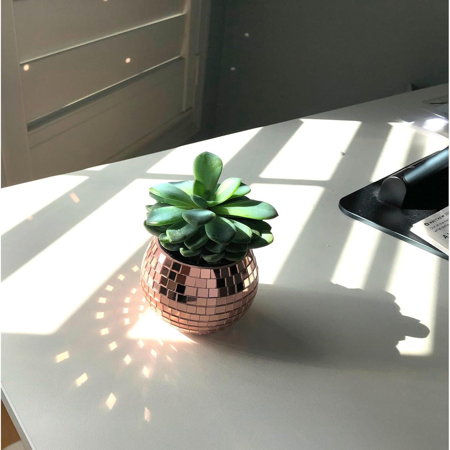 Mini Maceta de Bola de Disco BusyPet Rosa Dorado 5.4 cm