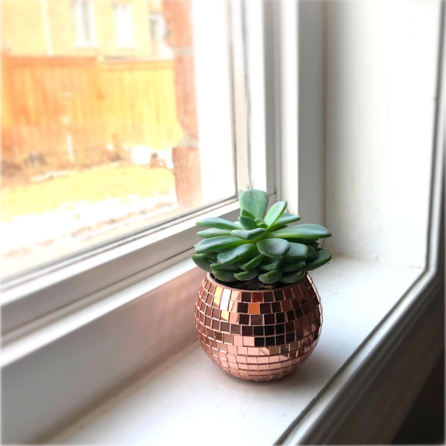 Mini Maceta de Bola de Disco BusyPet Rosa Dorado 5.4 cm