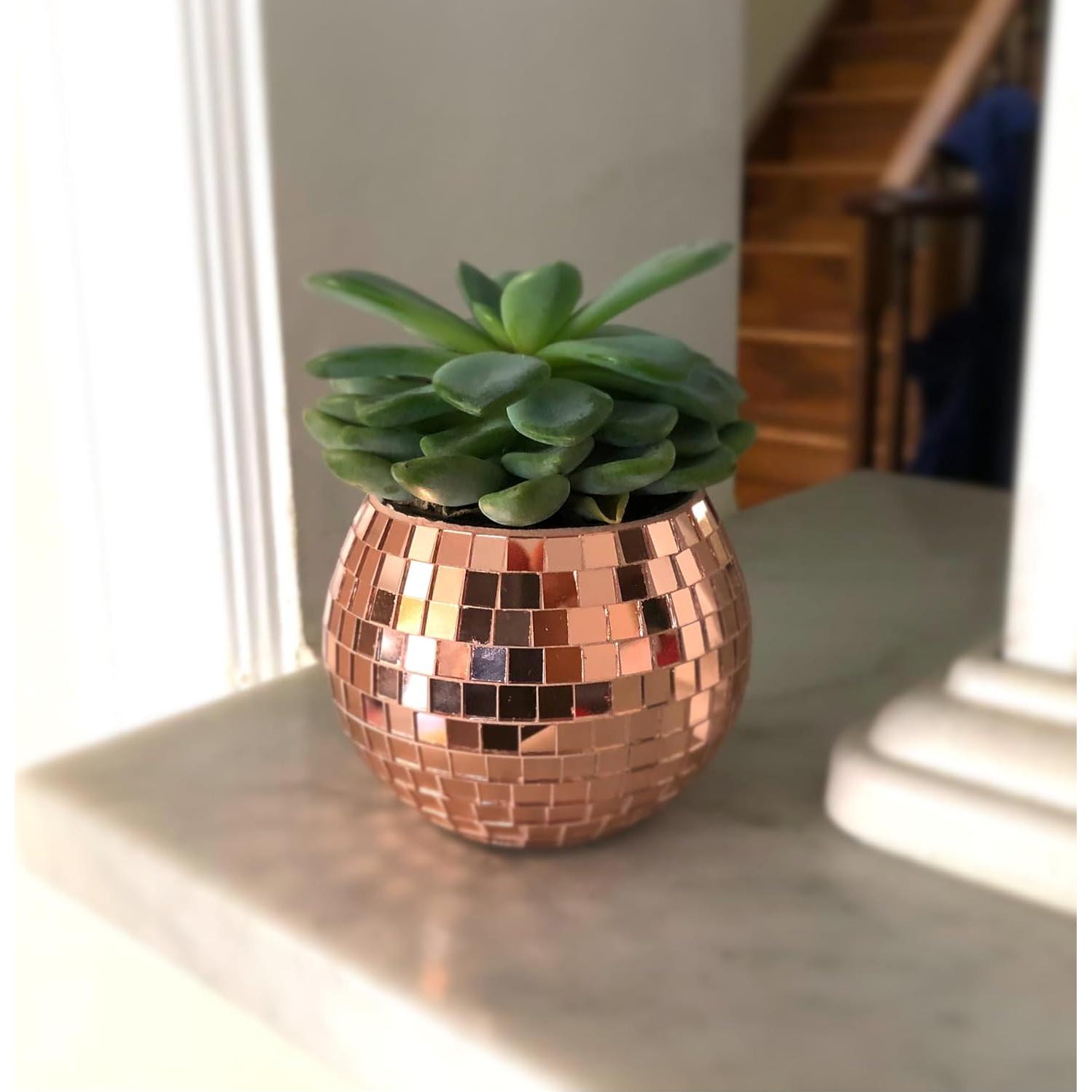 Mini Maceta de Bola de Disco BusyPet Rosa Dorado 5.4 cm