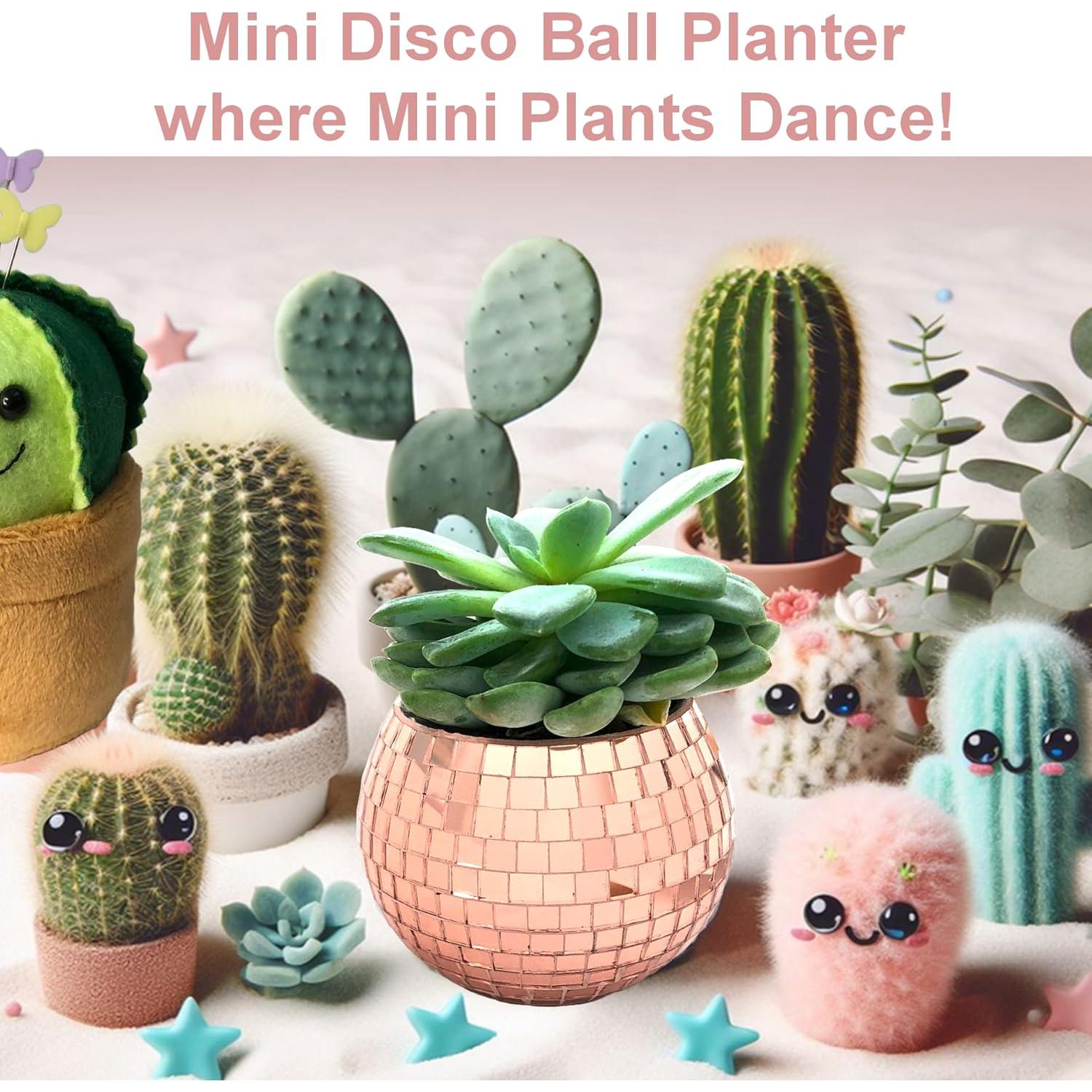 Mini Maceta de Bola de Disco BusyPet Rosa Dorado 5.4 cm