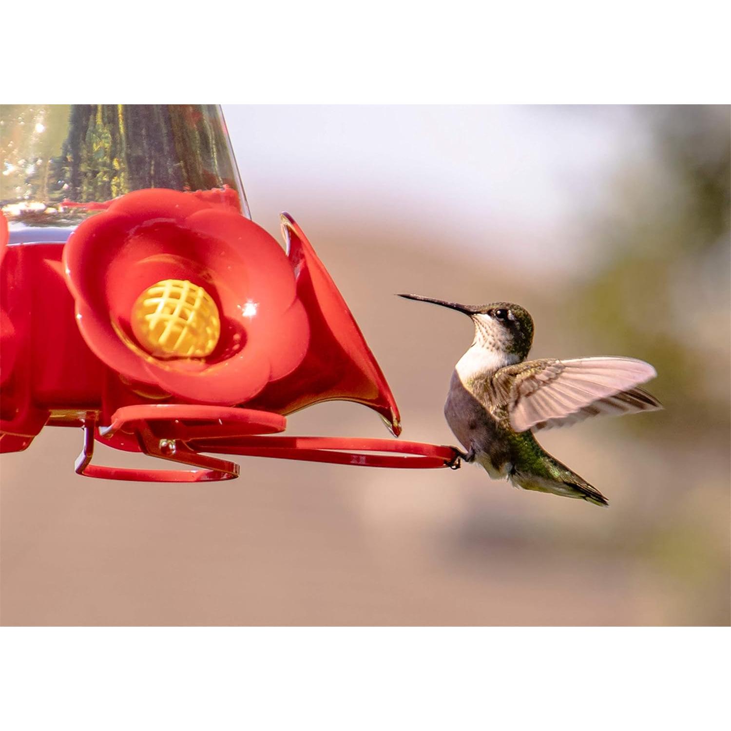 Concentrado Líquido de Alimento para Colibríes Penn Pak 473 ml