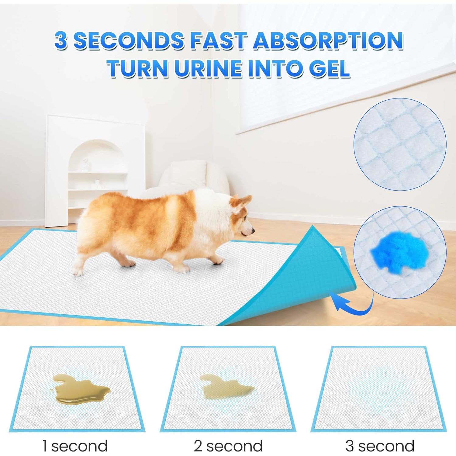 Almohadillas de Entrenamiento Boscute XL 6 Capas 30 Cuentas