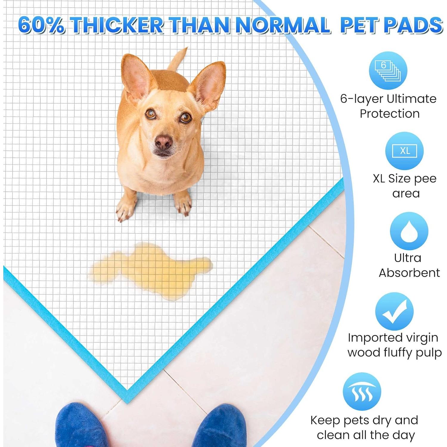 Almohadillas de Entrenamiento Boscute XL 6 Capas 30 Cuentas