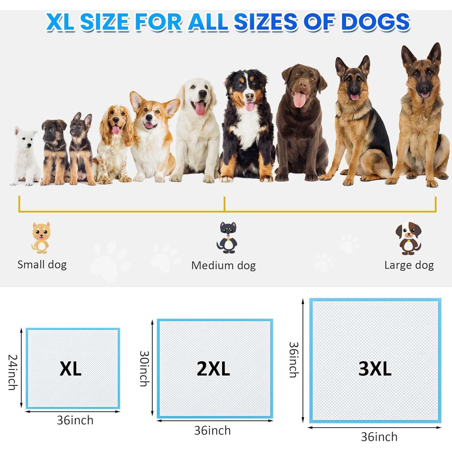 Almohadillas de Entrenamiento Boscute XL 6 Capas 30 Cuentas