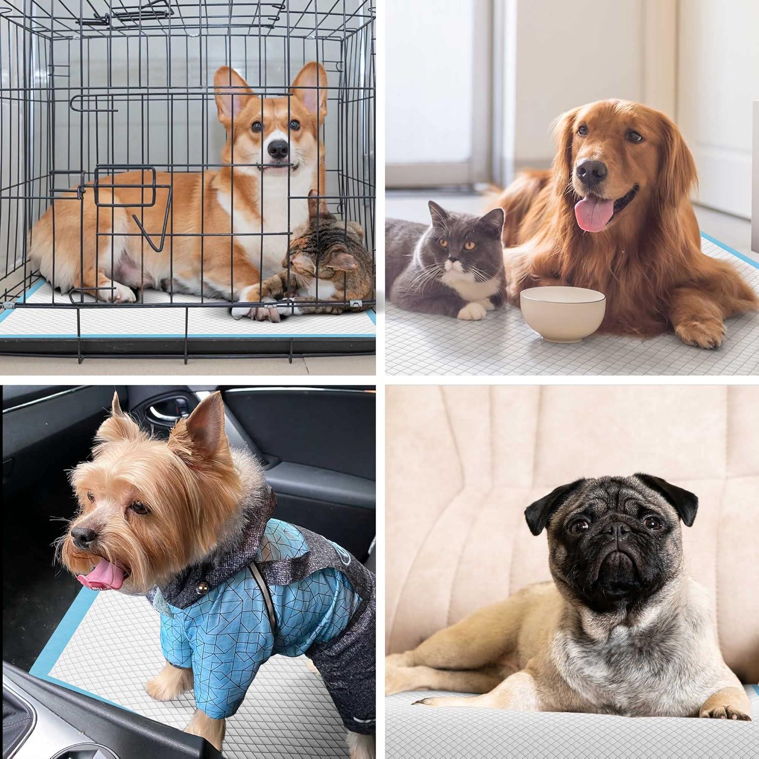 Almohadillas de Entrenamiento Boscute XL 6 Capas 30 Cuentas