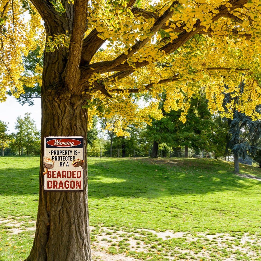 Letrero Cuidado Con El Dragón Barbudo TaLuky 22.86x27.94cm