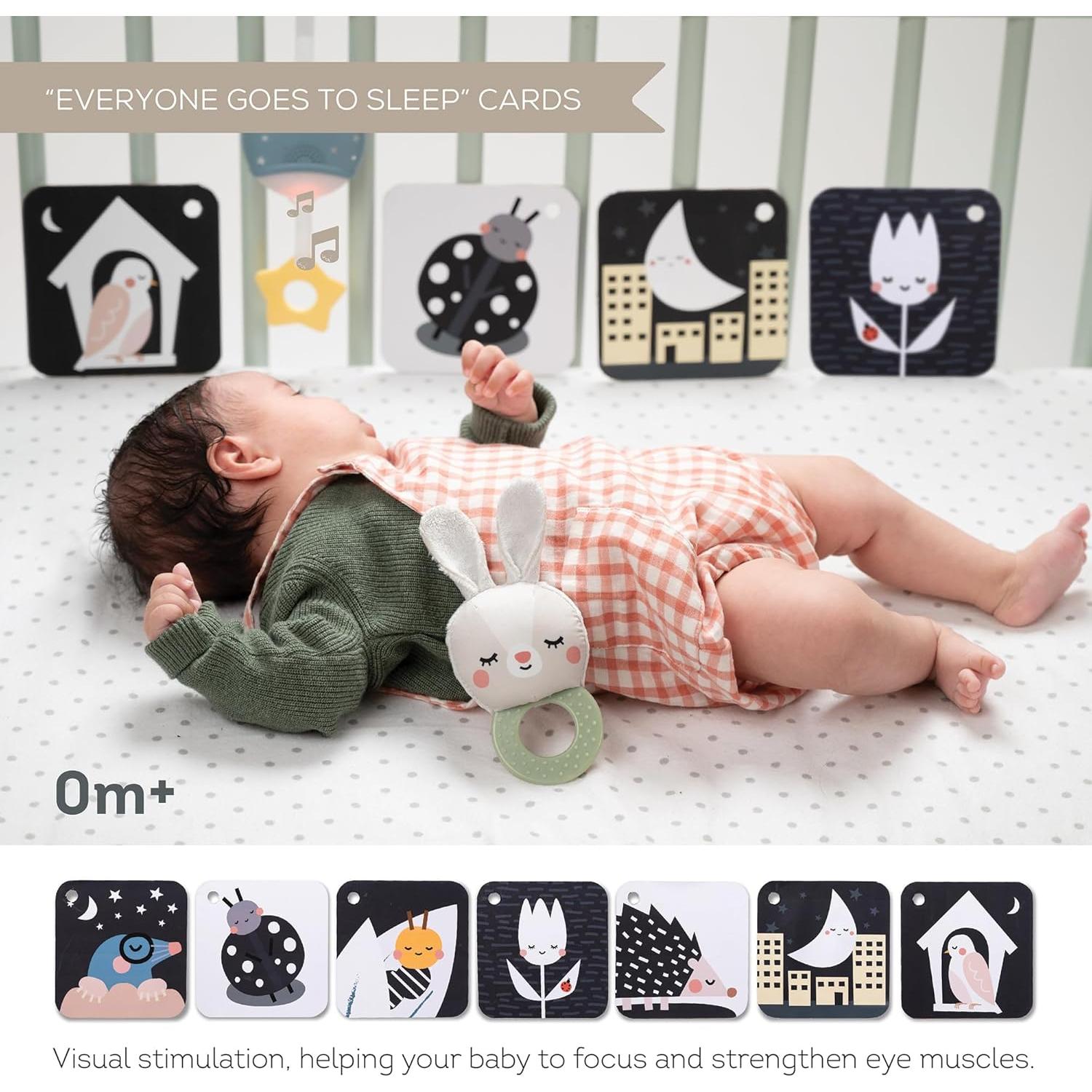 Kit de Hora de Dormir Taf Toys - 12 Actividades para Bebés