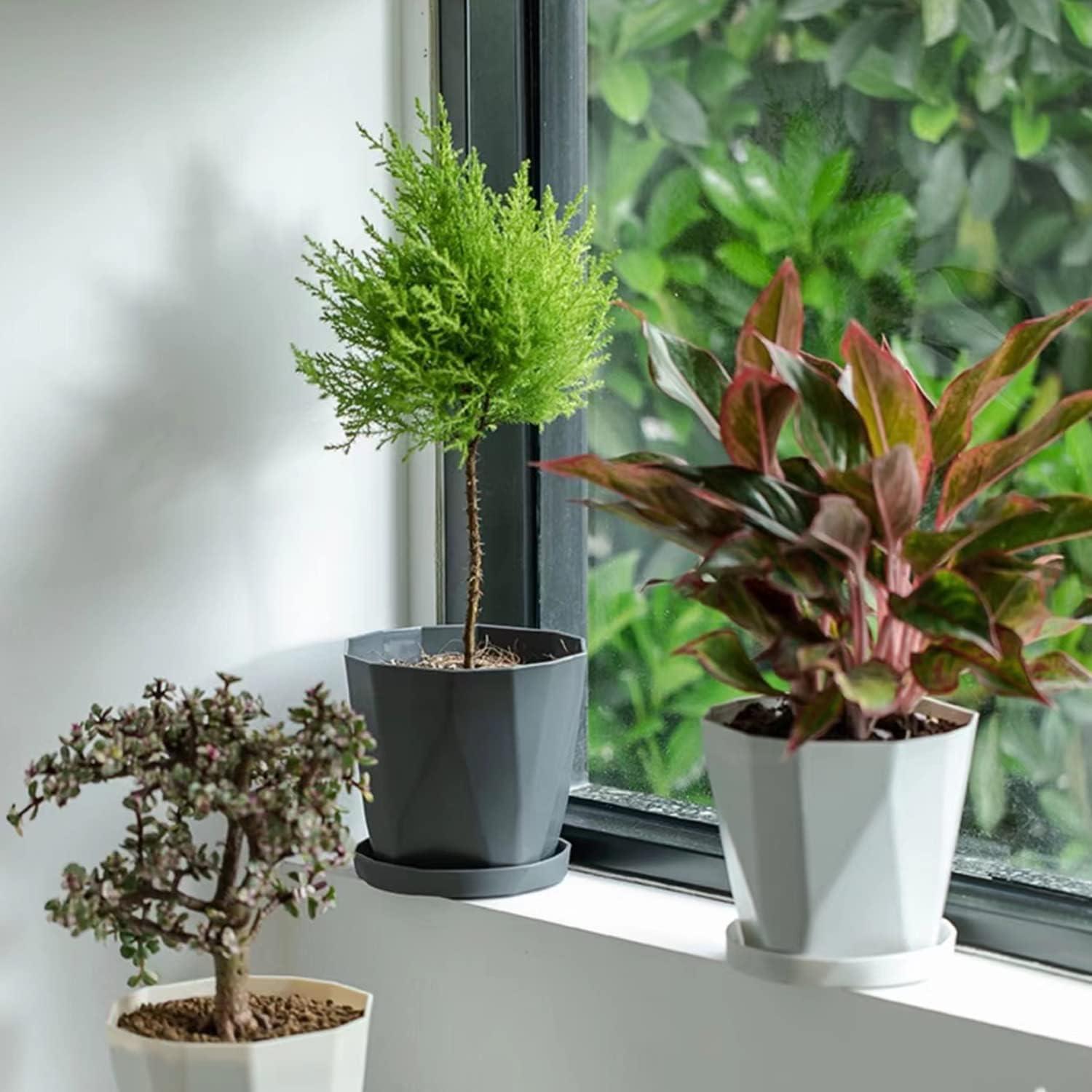 Macetas InmeRun de Plástico 5" para Plantas - Juego de 6 con Drenaje