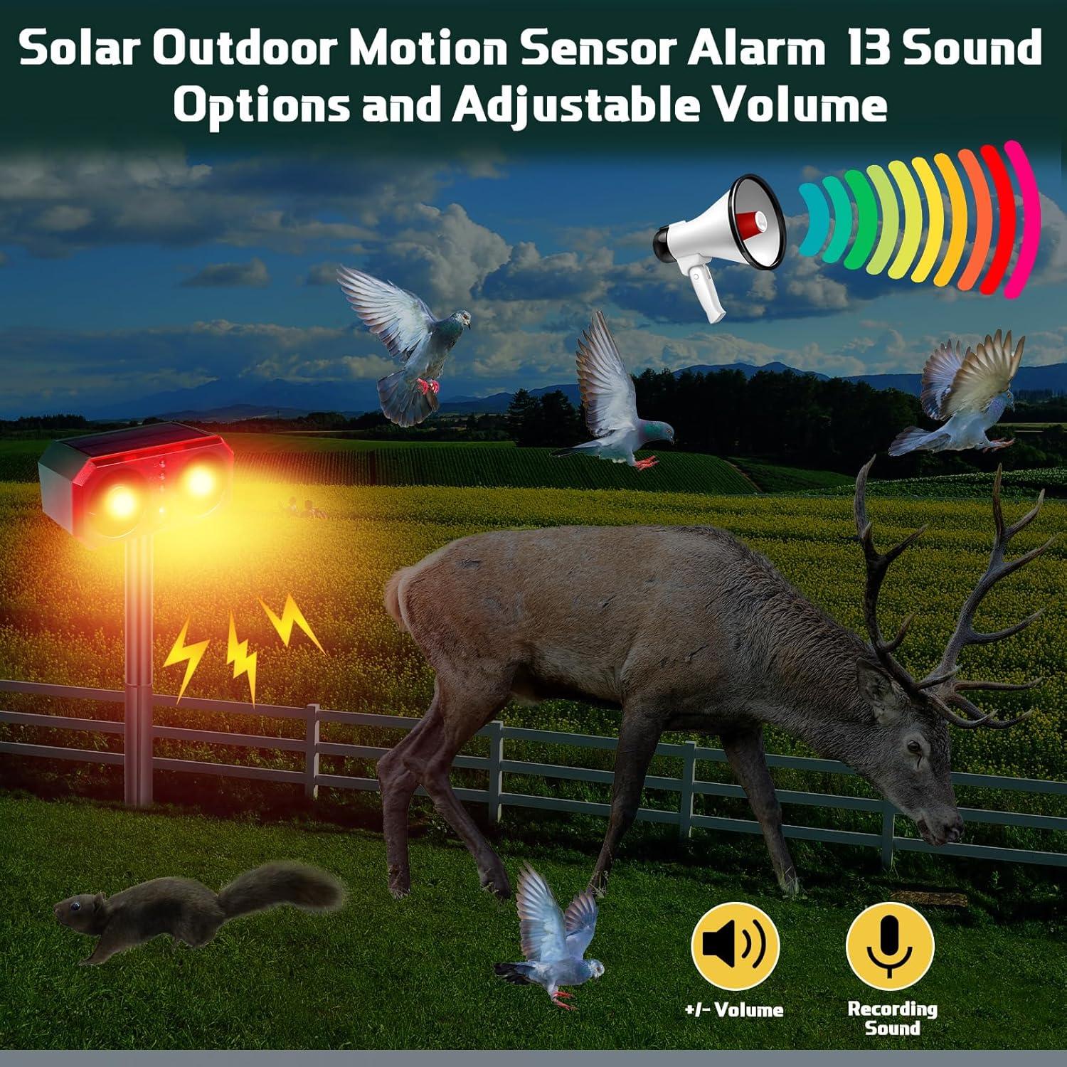 Alarma de Movimiento Solar Qualirey 2 Pcs con Control Remoto